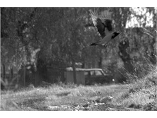 � � �� ��.jpg