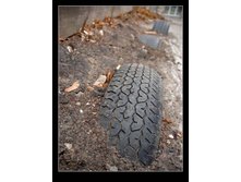 ���� ������.jpg