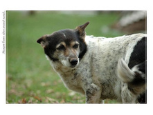 ������ �����.jpg