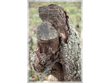 �ݣ ���� ����.jpg