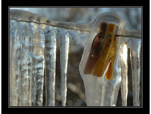 ��� �������� ������ ���-.jpg