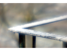 ������ ����.JPG