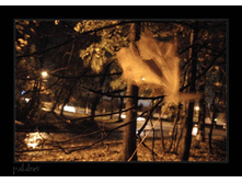 � ����� �������� ����.jpg