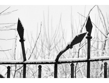 ������ ������.jpg