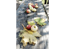 ������ �� �����, ������� �� �����.jpg