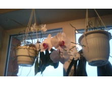 ����������� 084.jpg