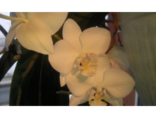 ����������� 082.jpg