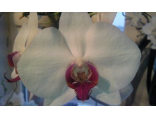 ����������� 081.jpg