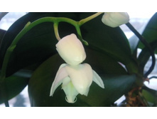 ����������� 080.jpg