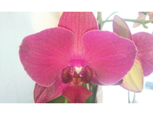 ����������� 078.jpg