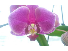 ����������� 077.jpg