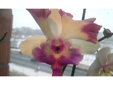 ����������� 076.jpg