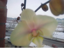 ����������� 074.jpg