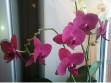 ����������� 072.jpg