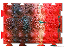 ���� 900 ���.