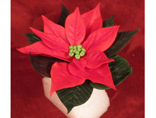 ����������