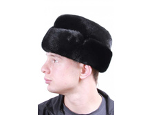 �������� ���� \"����������\"  �������: 100V   ���� ���.: 6 900 ���.