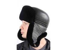 ������ ������� � �������� Castor Rex  �������: 103K L   ���� ���.: 2 500 ���.