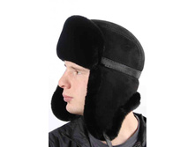 ������ �������� � �������� Castor rex  �������: 103K S   ���� ���.: 2 500 ���.