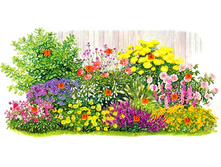 �����-���������� ����������.jpg