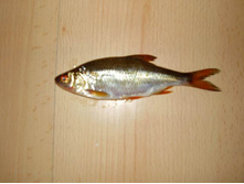 ������� 24 ���� 2009