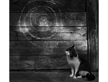 ������� �������� ������������