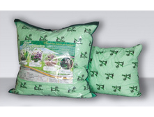 ������� - ������ � ���������� ����