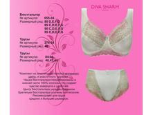 1000 �. ���� �� ��������� ������� + 480 �. �������