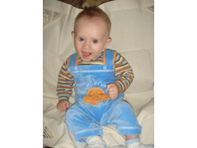 5 �������