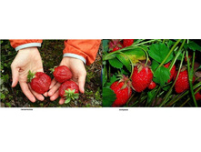 �������� ������� � ���������� - �����.jpg