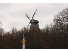 ������� ��� ���� 2.JPG