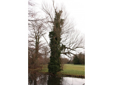 ������� ��� ���� 3.JPG