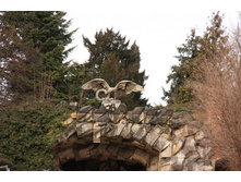 ������� ��� ���� 5.JPG