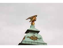 ������� ��� ���� 7.JPG