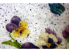 ����������� ��������