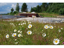 ������� �������.