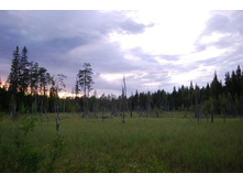 ���������� ������.