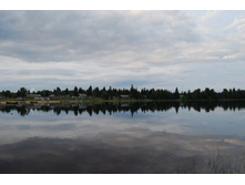 �����������.