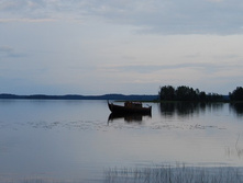 �����������.