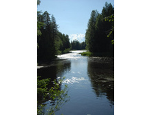 ����. ����� ������.