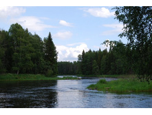 ������ ����.