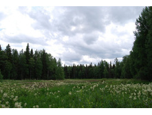 ������ ����.