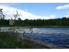 �����. �����.