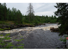 ����� �����. �����. ������� �������.