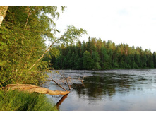 ����. ����� ��������.