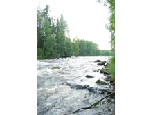 ����. ����� ��������.