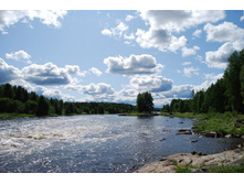 ����� ����� ������.