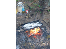 ���� �� ����. :)