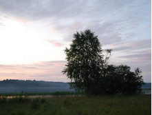 �����. (����� ����������� �������).