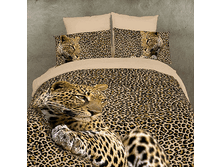 FX Cheetan EURO   48032.gif